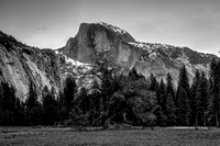 Half Dome from the Valley Floor BW