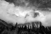 2016 Yosemite CA
